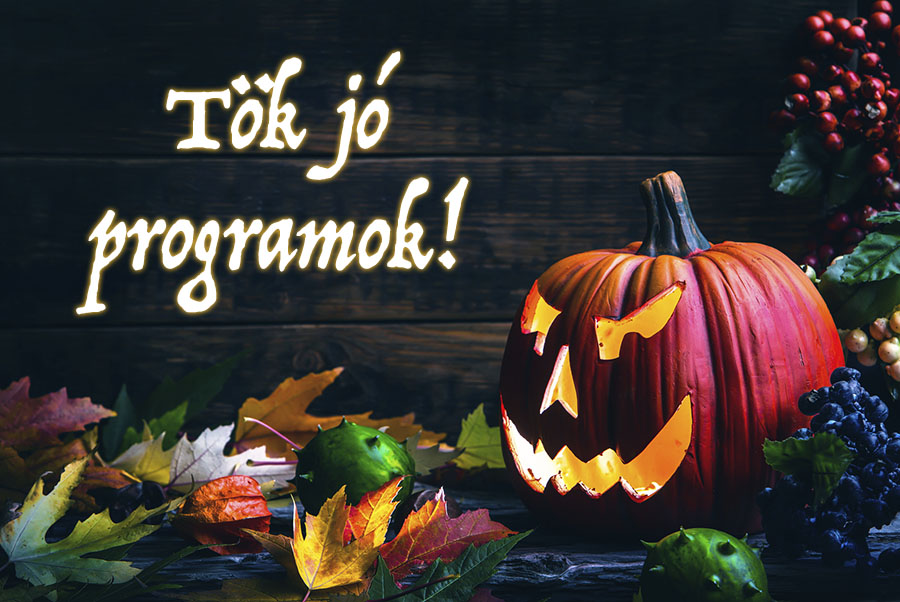 Tök jó programok! Tök jó programok!