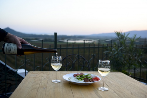 Wine adventure in the Badacsony wine region - Hunguest Hotel Pelion - Tapolca