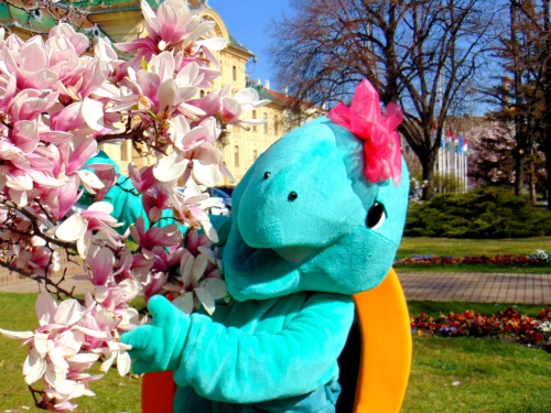 Szegi Teki, the mascot of the hotel - Hotel Forrás  - Szeged