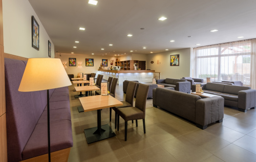 Violin Drinkbar - Hunguest Hotel Erkel - Gyula