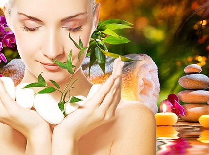 Fito wellness paket Fito wellness paket