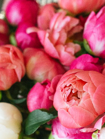 Pfingsten am Plattensee