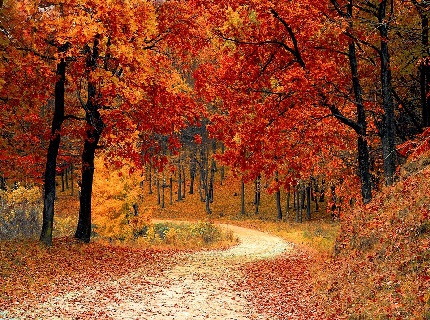 Autumn Autumn