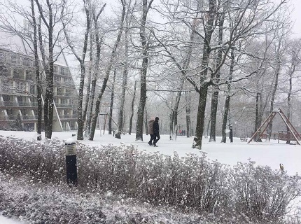 WINTER WINTER