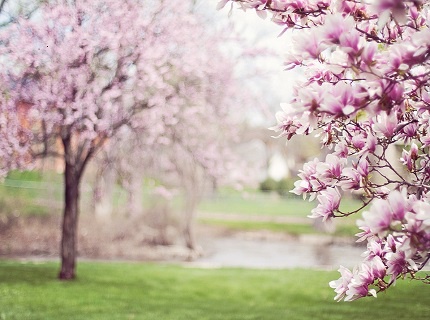 FRÜHLING FRÜHLING