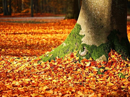 November 1. - hosszú hétvége a Mátrában November 1. - hosszú hétvége a Mátrában