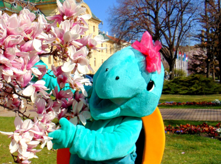 Tavaszi szünet - családi wellness élmények