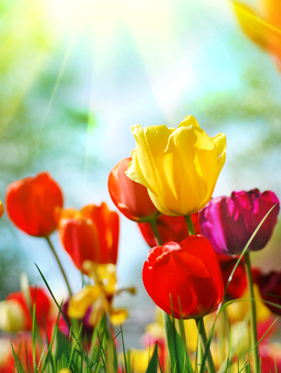 Pfingsten Wochenende in Kőszeg