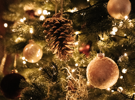 Christmas wellness in Tokaj-Hegyalja