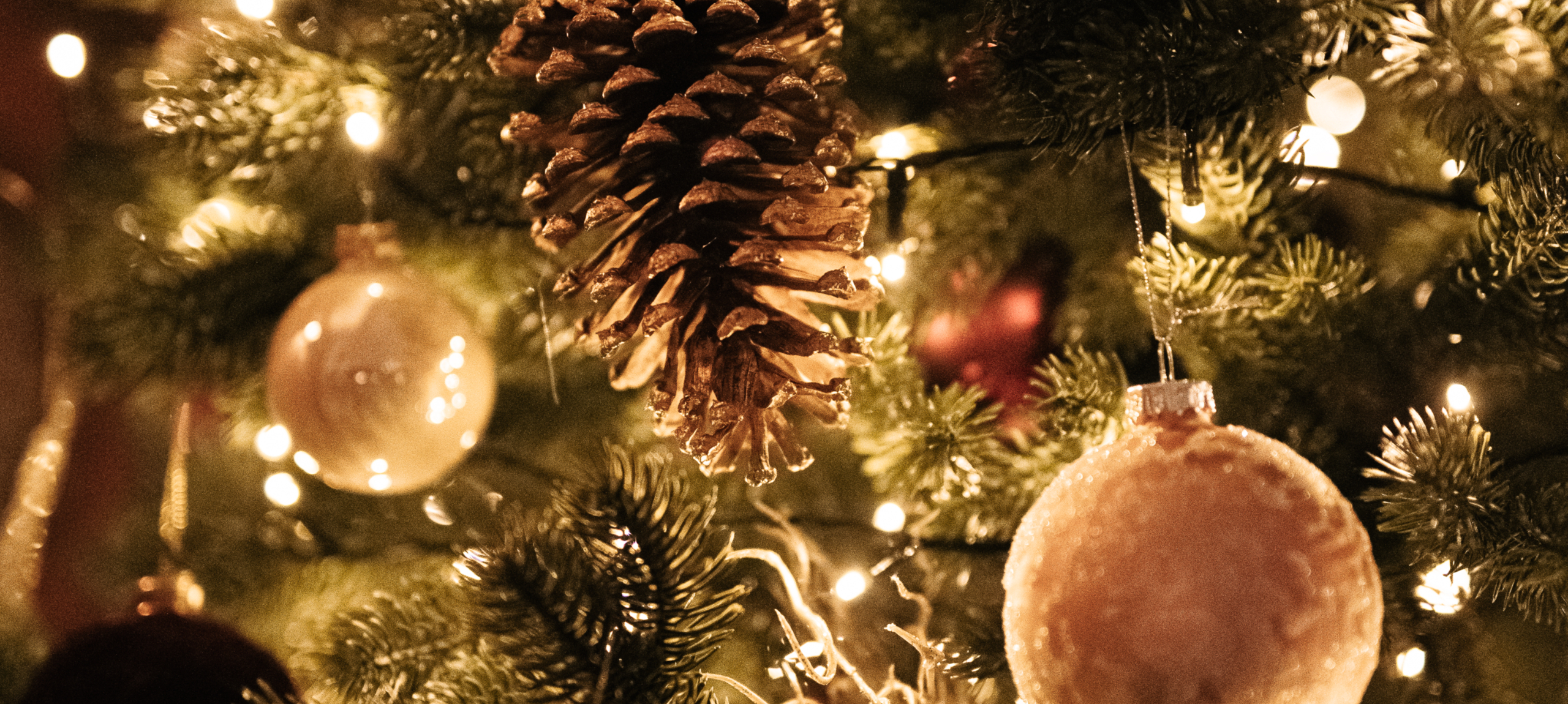 Tarcal - Andrássy Kúria & Spa - Christmas wellness in Tokaj-Hegyalja