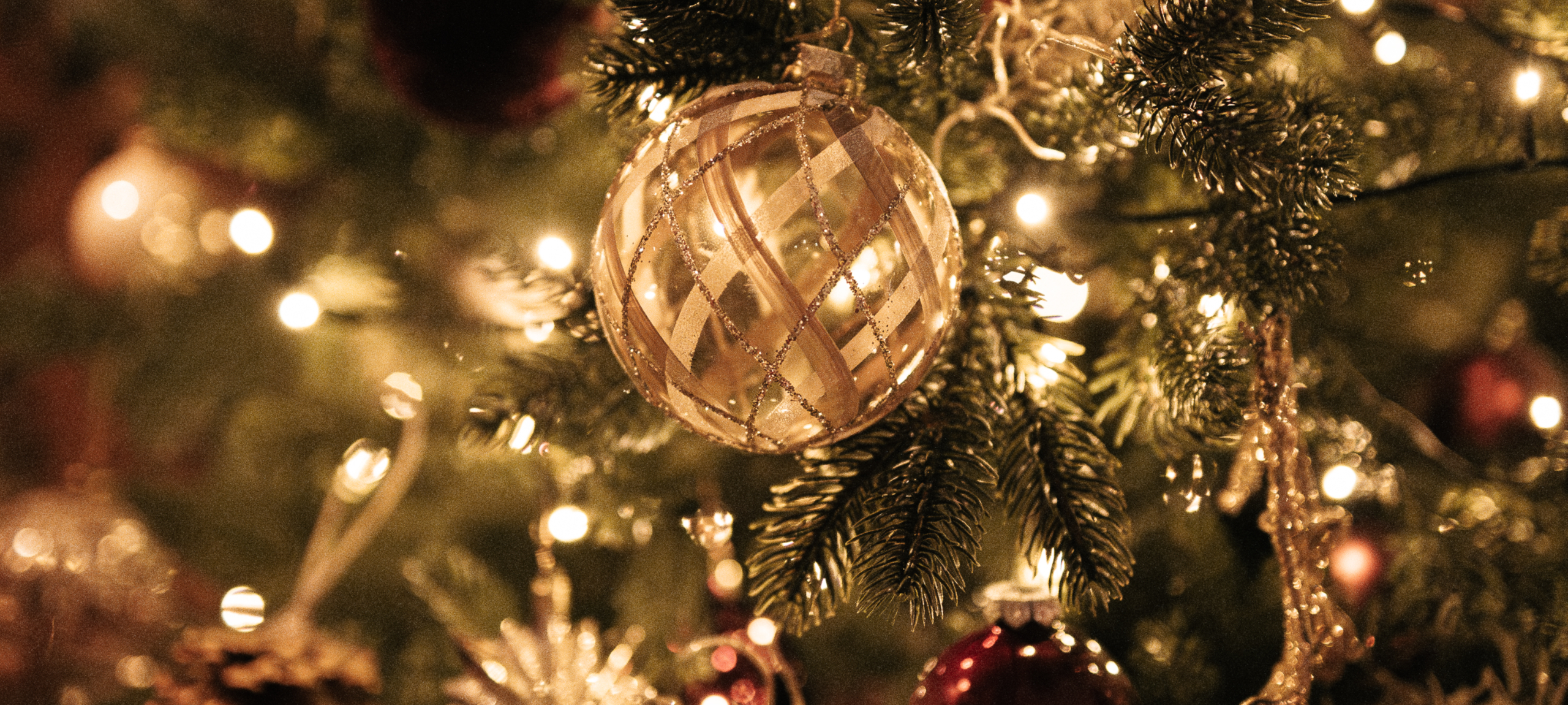 Tarcal - Andrássy Kúria & Spa - Weihnachten in Tokaj-Hegyalja