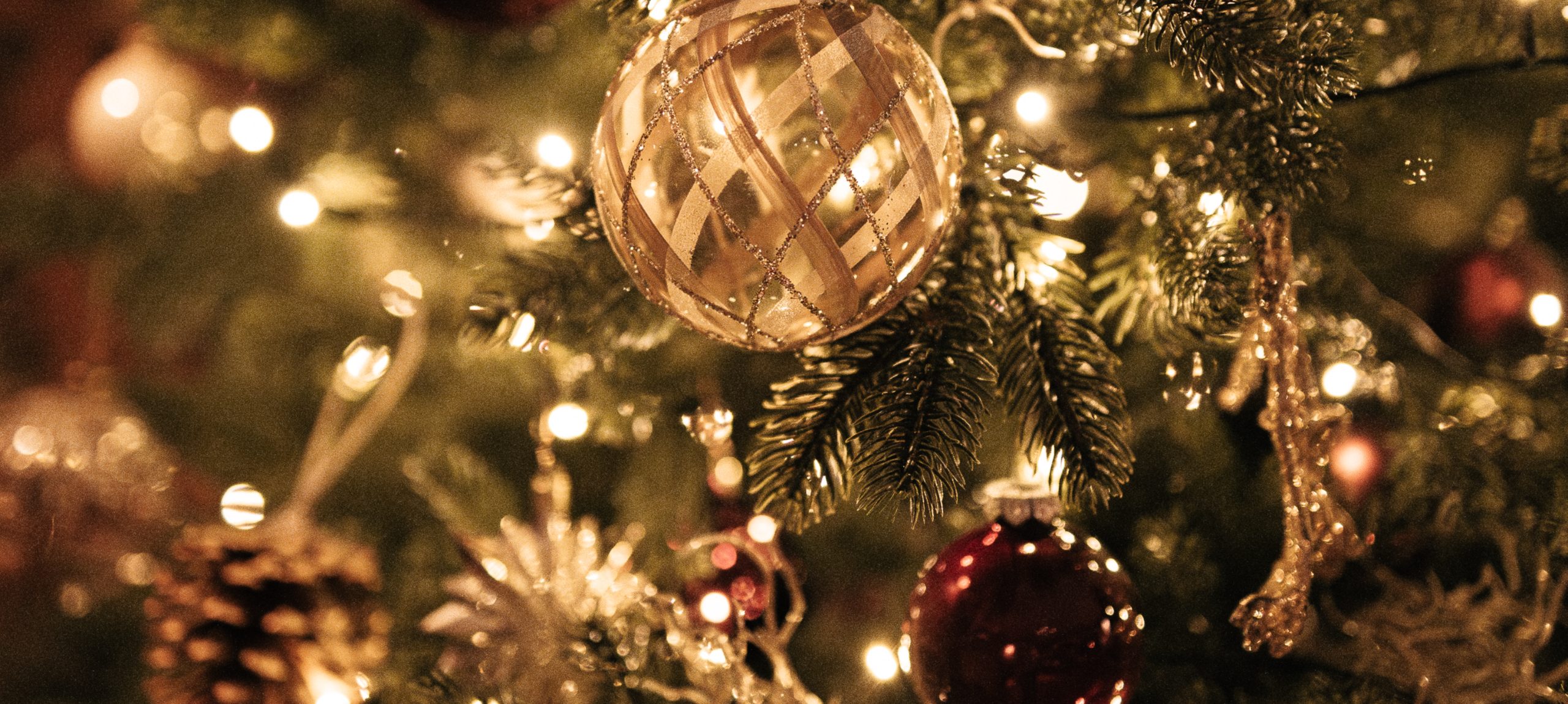 Tarcal - Andrássy Kúria & Spa - Vianoce v Tokaj-Hegyalja