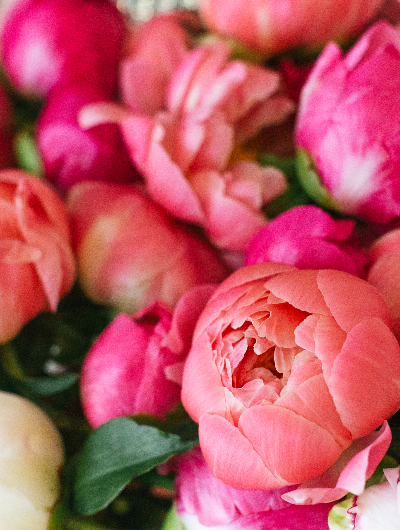 Oferta de Rusalii în Nyíregyháza