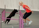 Agility seminar with Jenny Damm Agility seminar with Jenny Damm