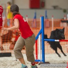 Agility seminar with Zsuzsa Veres Agility seminar with Zsuzsa Veres