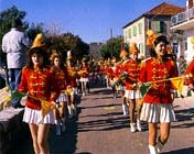 Mimóza fesztivál - Montenegro - Herceg Novi