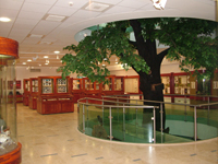 Természettudományi kiállítás - Mátra Múzeum, Gyöngyös